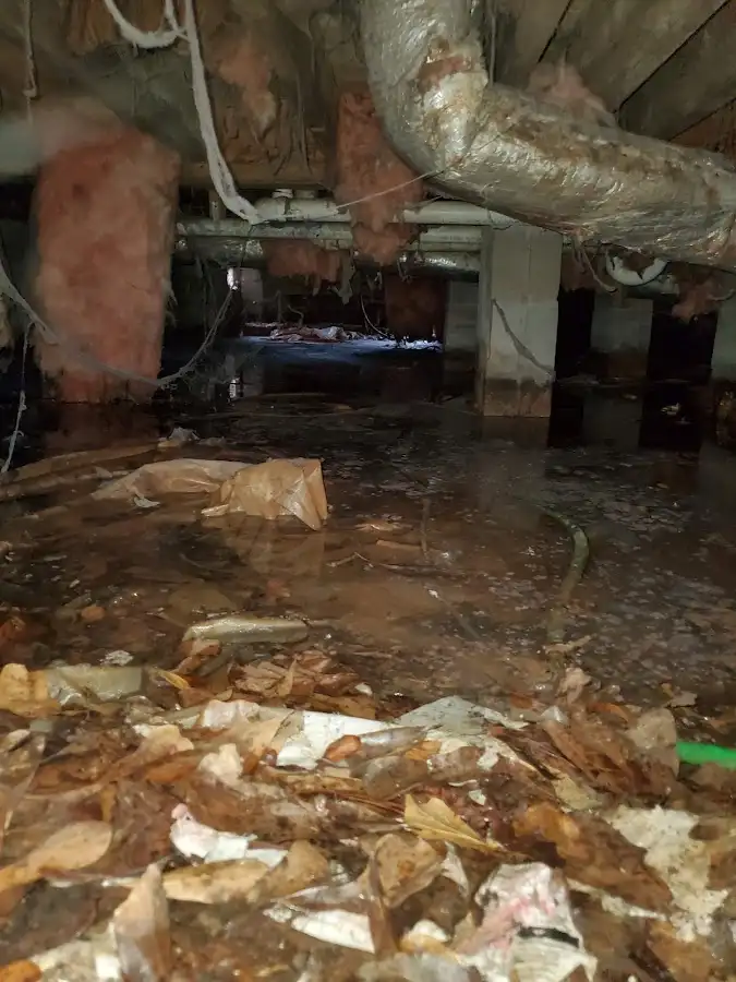 Crawl space flood assessment for Leak Detection & Repair in American Falls